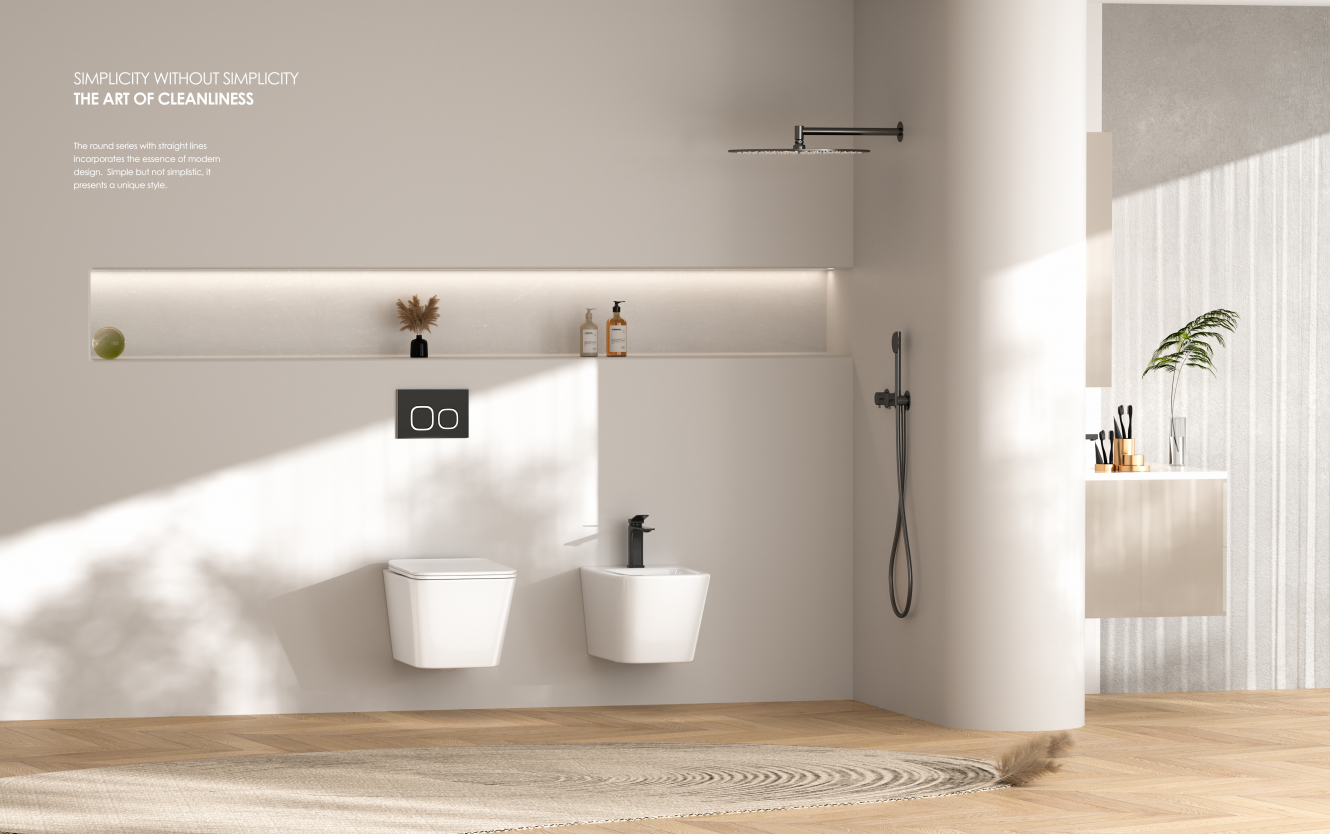 Wall Hung Toilet